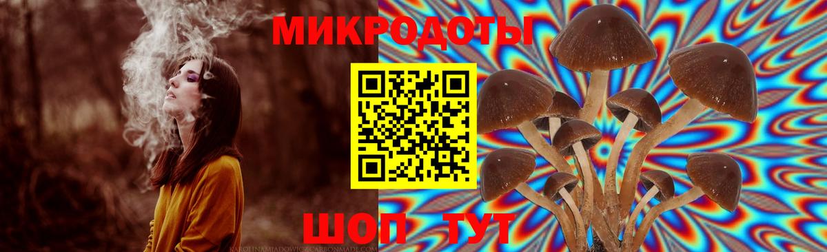 Псилоцибиновые грибы ЛСД Ковров